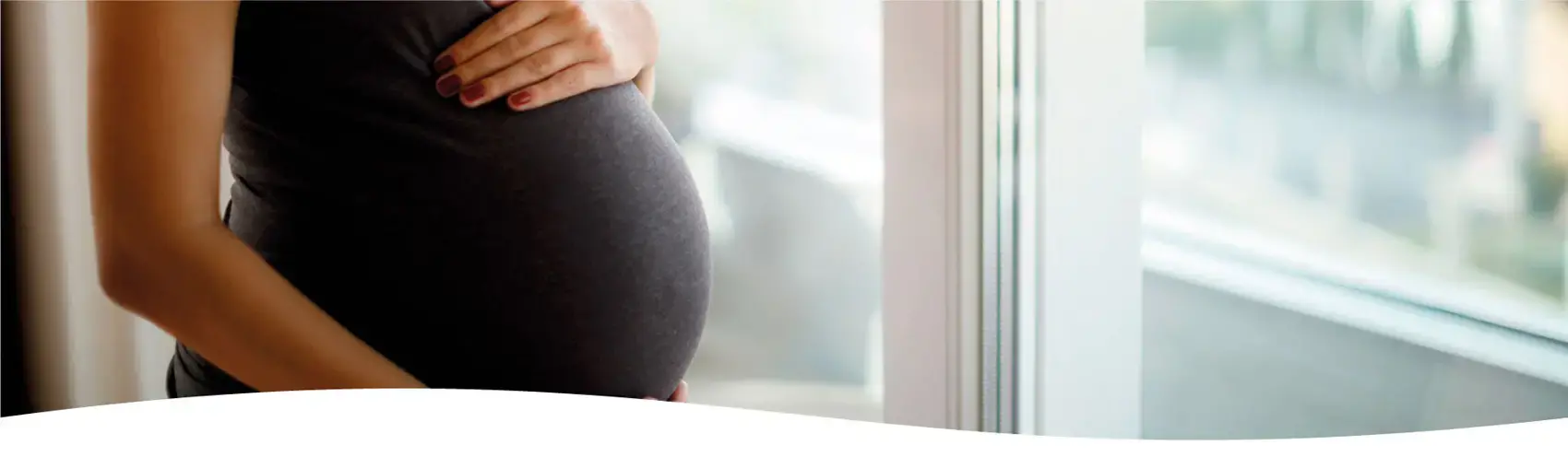 Vías de colonización para el desarrollo de la microbiota
