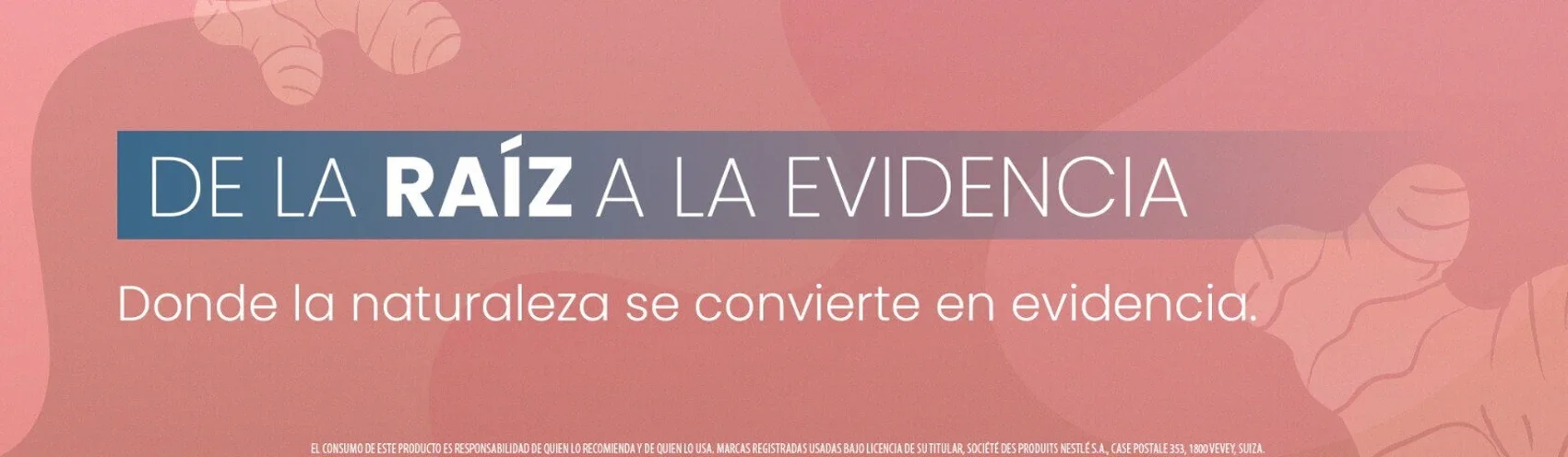 Lanzamiento