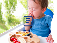 Alimentación complementaria