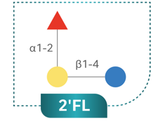 2'FL