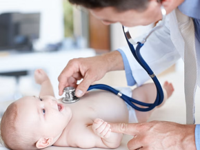 Obesidad y B. lactis