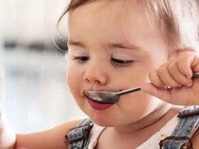 Alimentación  perceptiva