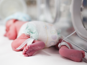 prematuro en incubadora