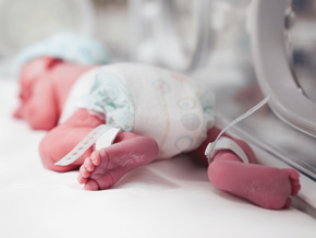 prematuro en incubadora