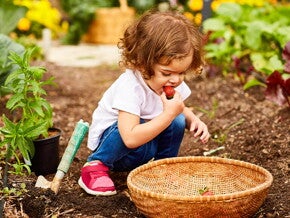 b_m_sitio_infografia_1_funcionamiento_sistema_inmune