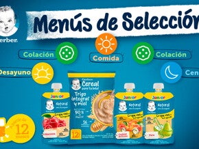 Formato menú para pacientes 12 meses.