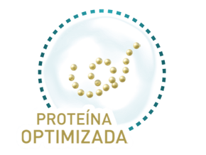 Proteína optimizada