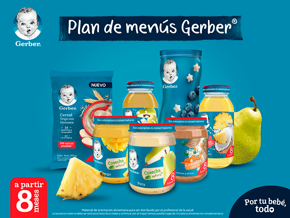 menu 8 meses