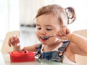 Alimentación  perceptiva