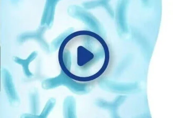 Probiotico
