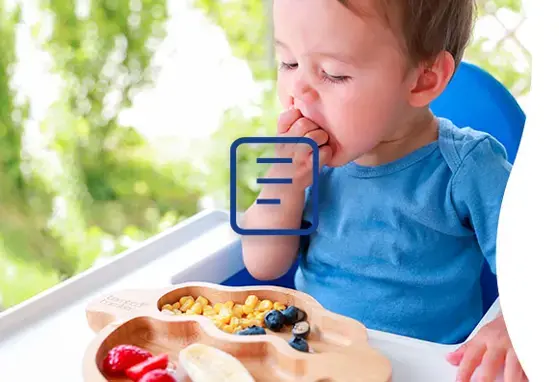 Alimentación complementaria