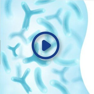 Probiótico L.Confortis 