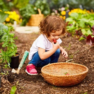 b_m_sitio_infografia_1_funcionamiento_sistema_inmune