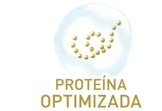 Proteína Optimizada