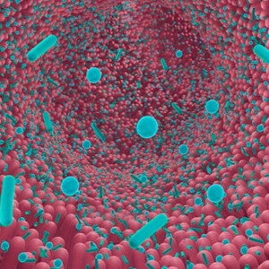 Ilustración del microbiota intestinal.