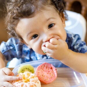 Importancia de los nutrimentos