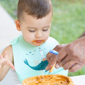 Incorporacion a la dieta familiar
