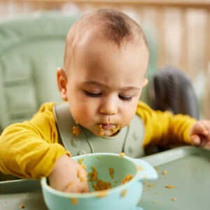 Caracteristicas alimentos