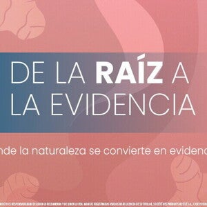 Lanzamiento