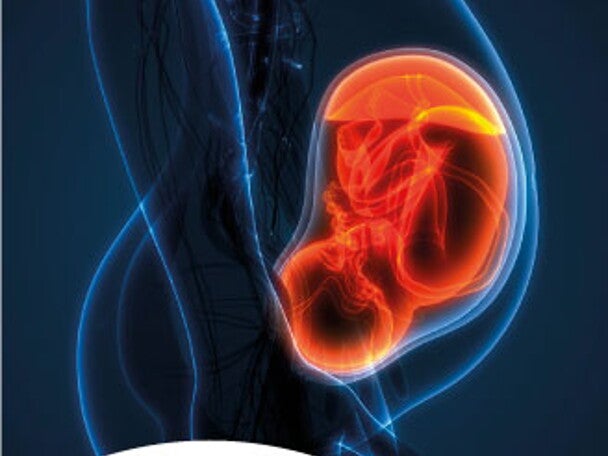 El desarrollo de la microbiota en la etapa prenatal