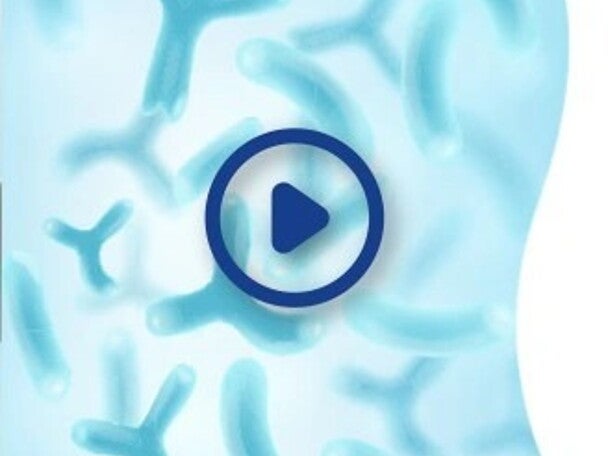 Probiótico L.Confortis 