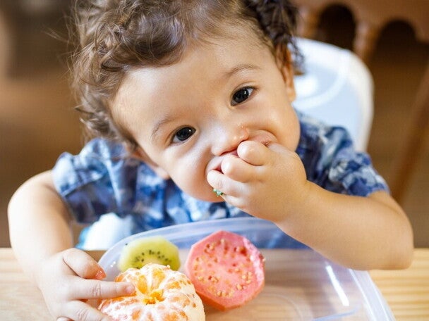 Importancia de los nutrimentos