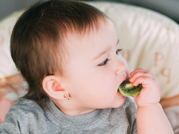 Patrones alimenticios