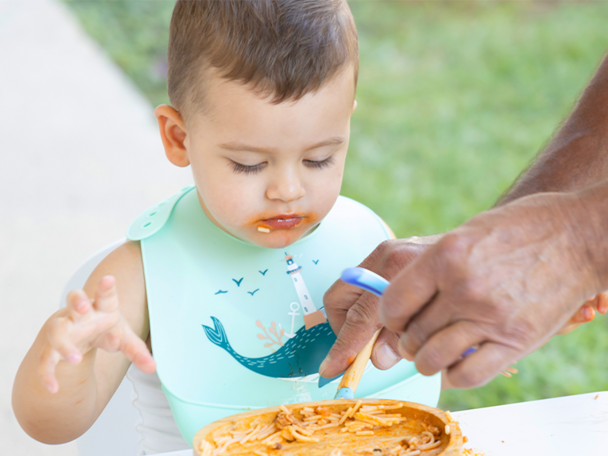 Incorporacion a la dieta familiar