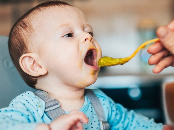 Alimentacion perceptiva