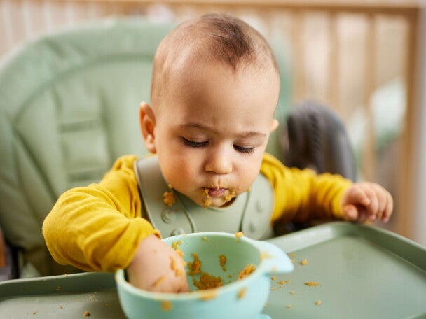Caracteristicas alimentos