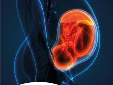 El desarrollo de la microbiota en la etapa prenatal