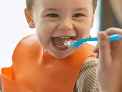 Alimentación complementaria en la salud digestiva.