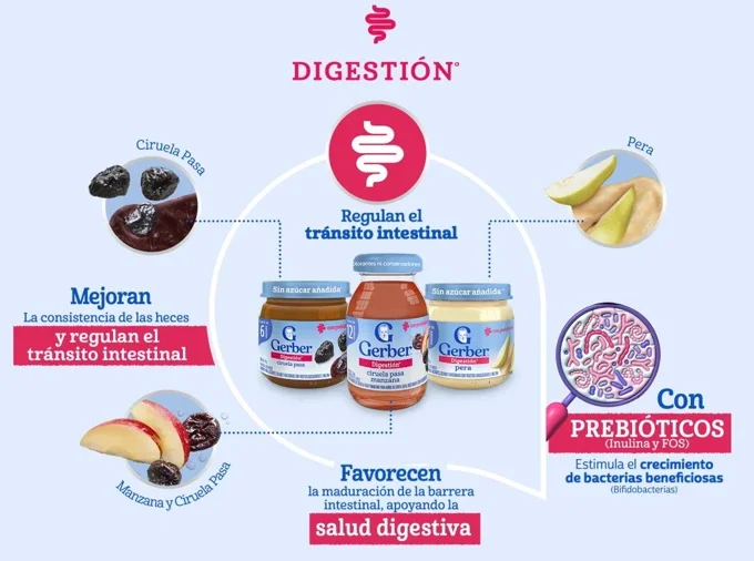 Gerber Digestión
