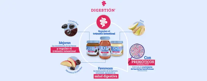 Gerber Digestión